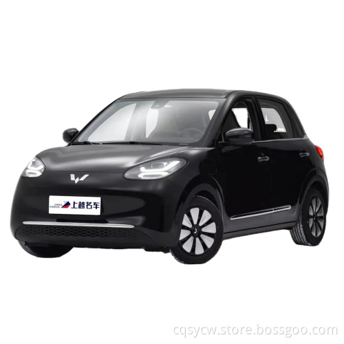 Swing Door Pickup Truck Wuling Bingguo 2023 333km الفرح استمتع بملاح
